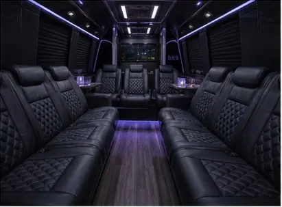 Party Bus & Sprinter